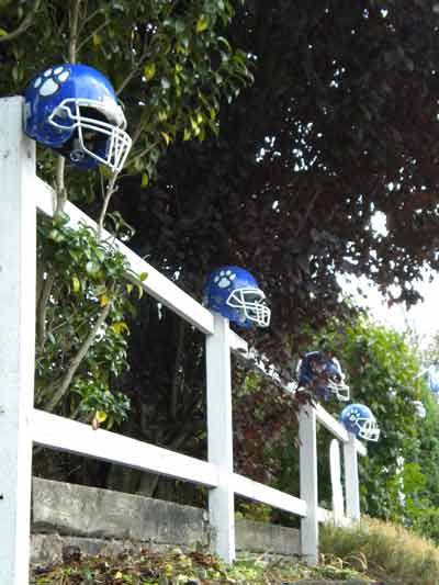 Bothell High football helmets dominate the fence of a home on Beardslee Blvd. in downtown Bothell. A 'Home of a Bothell Cougar' sign is out of view. Look for the Reporter's Bothell