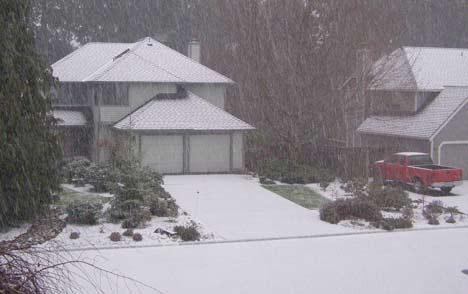 Here's a Bothell neighborhood shot during yesterday afternoon's snow flurry.