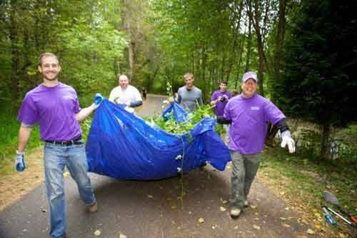 UW-Bothell alumni and students haul out a load of blackberries and weeds from the Sammamish River Trail.