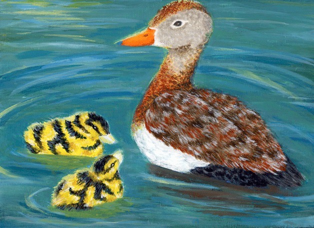 Sunny Hong received honorable mention for this piece submitted to the 2014 Federal Junior Duck Stamp Contest.