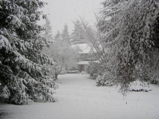 Snow covered the Bothell landscape Sunday morning.