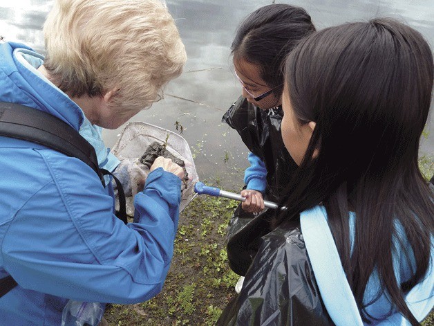 A Ground to Sound Camp teacher works with local kids to teach them about how the environment impacts all inhabitants.