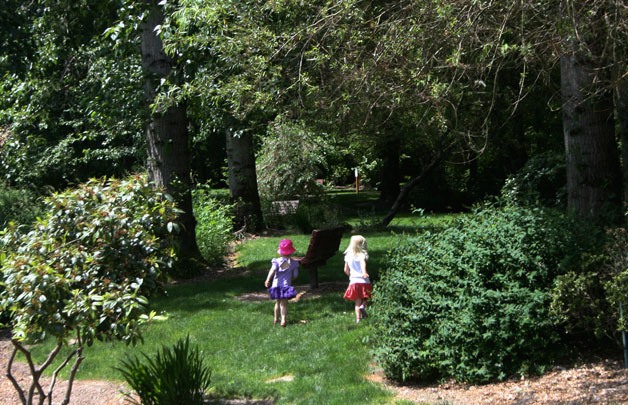 Bothell residents play at Bothell Park during a sunny day.