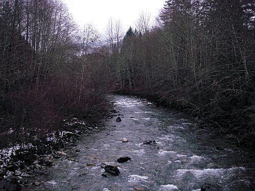 Illabot Creek flows for 14.3 miles through Skagit County