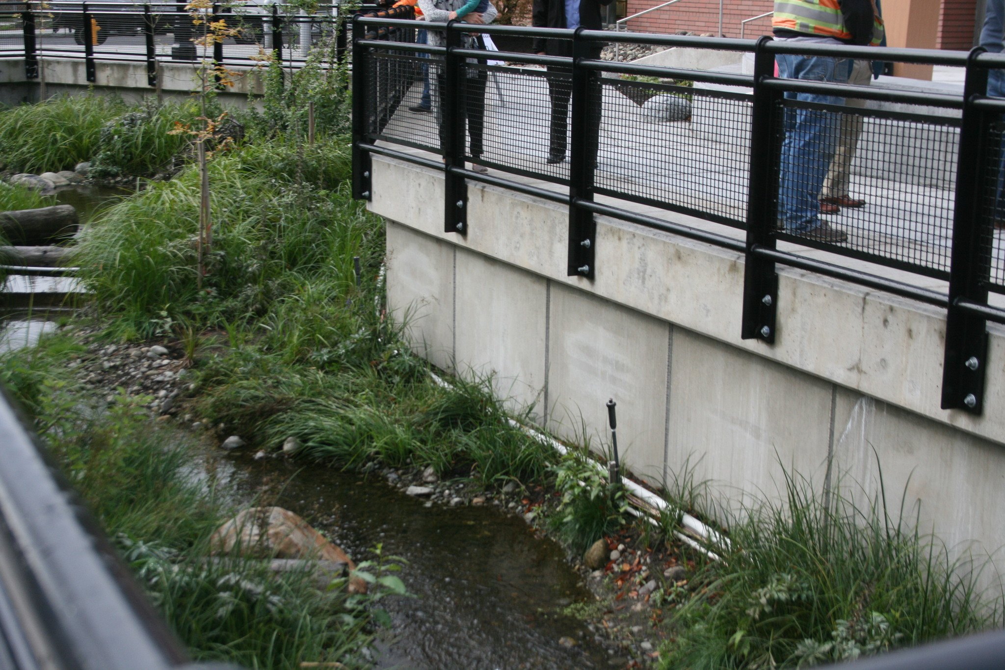 The Horse Creek improvement project daylighted 2