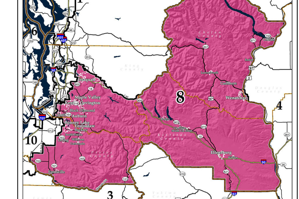 Rossi and Schrier lead 8th Congressional District race | Bothell ...